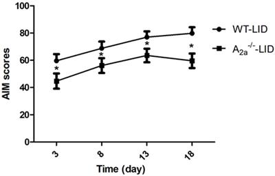 Adenosine A2A Receptor Gene Knockout Prevents l-3,4-Dihydroxyphenylalanine-Induced Dyskinesia by Downregulation of Striatal GAD67 in 6-OHDA-Lesioned Parkinson’s Mice